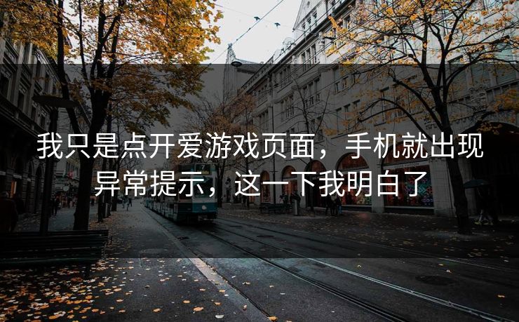 我只是点开爱游戏页面，手机就出现异常提示，这一下我明白了